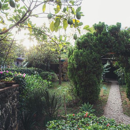 Hotel La Posada Del Valle (Adults Only) Tepoztlán Dış mekan fotoğraf