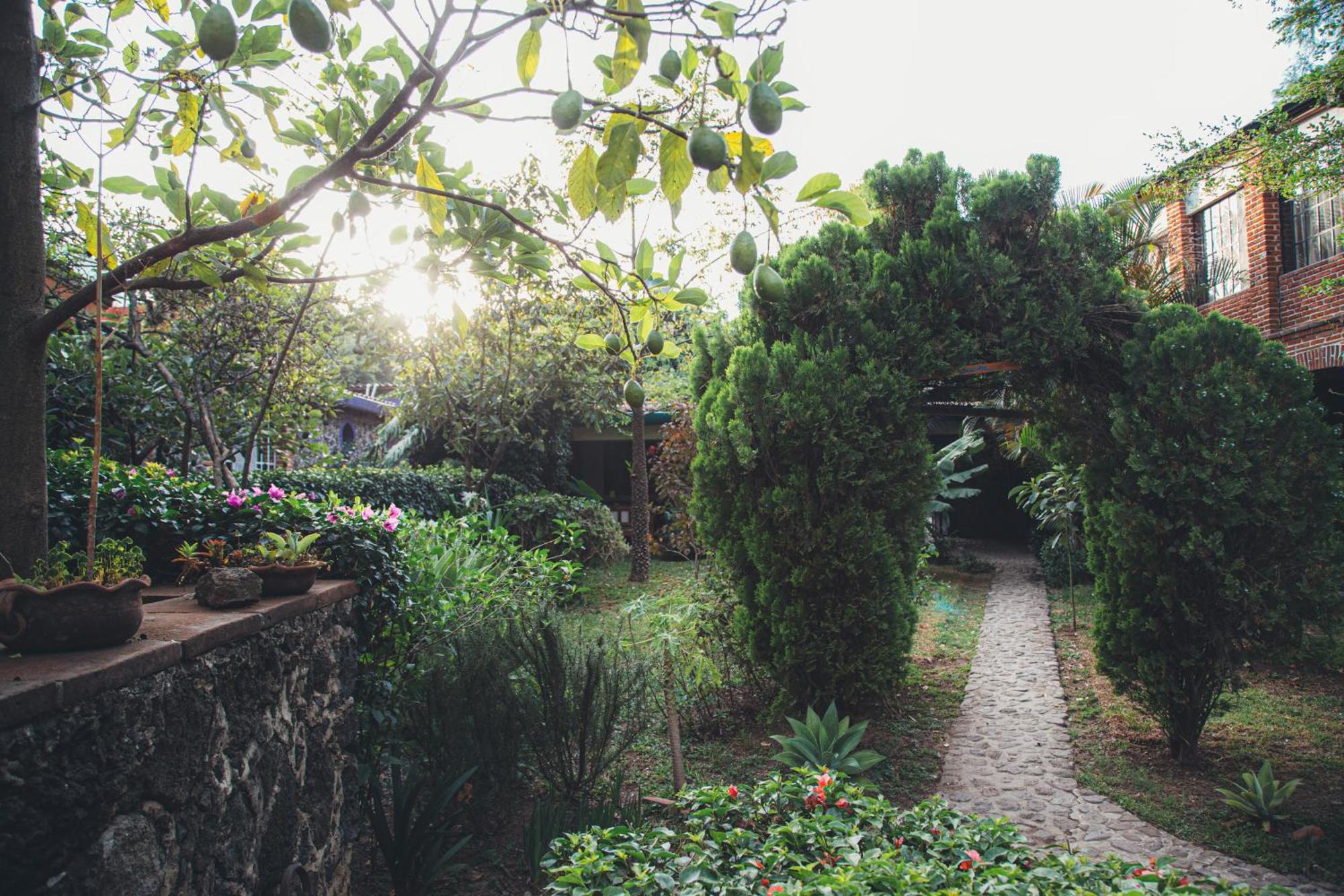 Hotel La Posada Del Valle (Adults Only) Tepoztlán Dış mekan fotoğraf