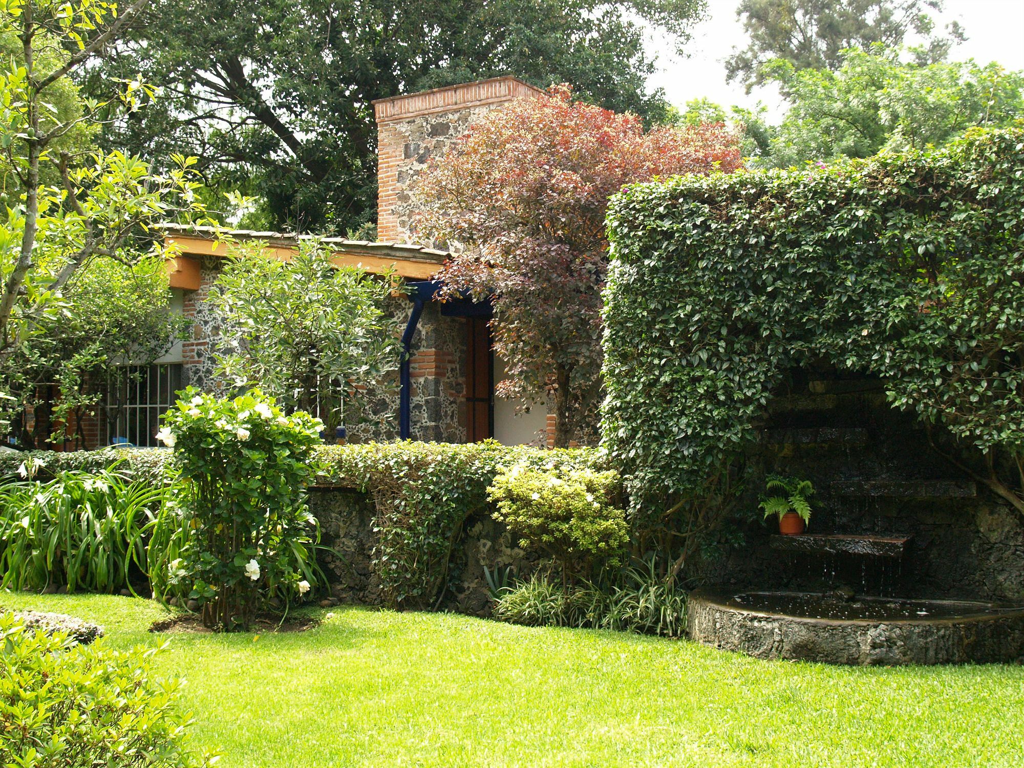 Hotel La Posada Del Valle (Adults Only) Tepoztlán Dış mekan fotoğraf